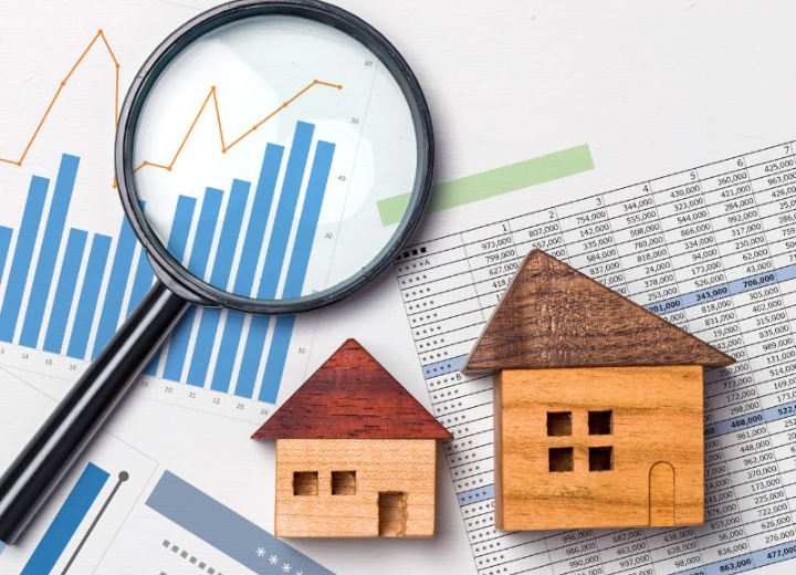 EXPERT MARKET KNOWLEDGE